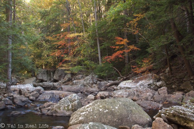 Cloudland Canyon